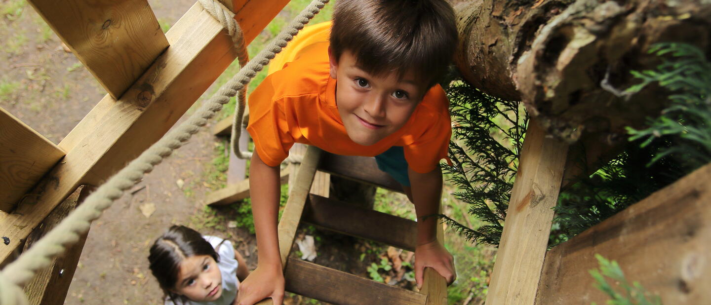 Kinderen in boomhut